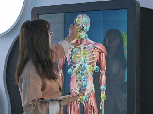 液晶觸摸互動查詢一體機-口腔與器官的關系圖