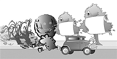 省生態(tài)環(huán)境廳、省公安廳來我市調研機動車污染防治工作