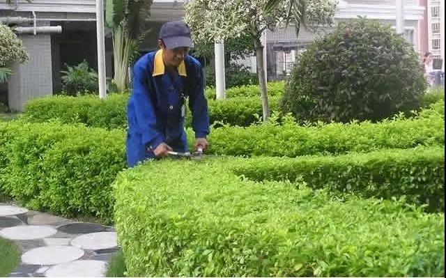 園林綠化工程施工常見誤區，您中招了嗎?