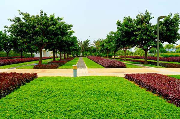 園林綠化常見問題總結，值得收藏