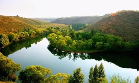 湖北園林綠化檔次提高，產(chǎn)品升級是必然，趕緊跟上這個(gè)趨勢