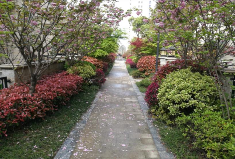 湖北園林綠化工程中園路的類型及鋪裝時應注意的問題