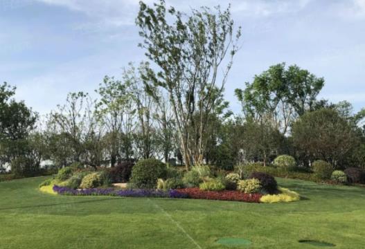 春季新栽園林苗木養護管理指南