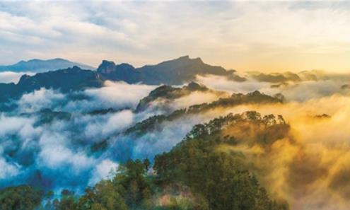 國(guó)家公園怎么建？人大代表這樣建議