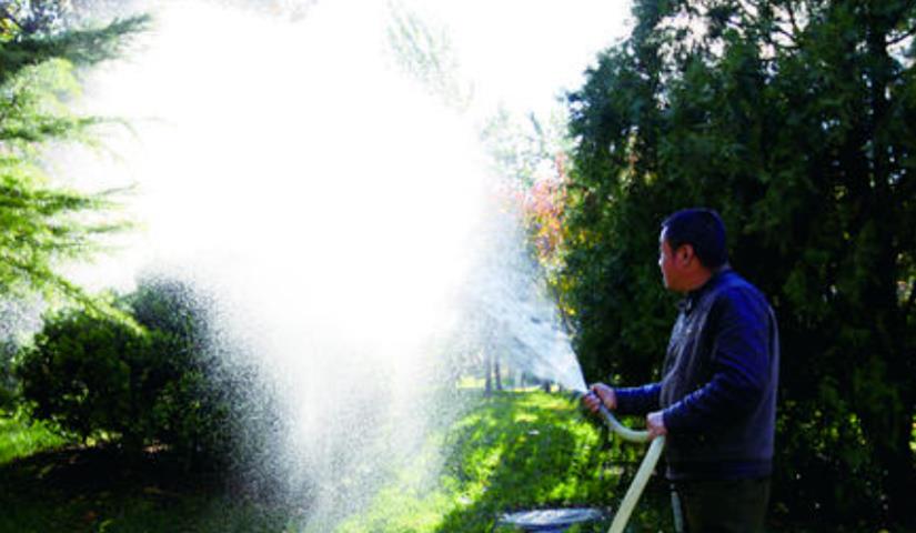 春季氣溫開始回升，湖北凱蒂園林提醒：做好這些養(yǎng)護(hù)舉措，苗木來年存活好，長(zhǎng)枝快