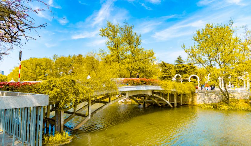 秋季關(guān)于園林綠化養(yǎng)護(hù)專業(yè)知識 ，你知道多少？