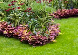 園林景觀設(shè)計，要注意什么事項呢？